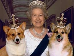 不希望死後留下牠英國伊莉莎白女王不養新的柯基犬了 corgi queen elizabeth royal family