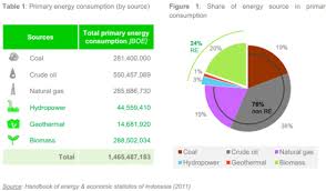 4.3 out of 5 stars power: Indonesia Energy Situation Energypedia Info