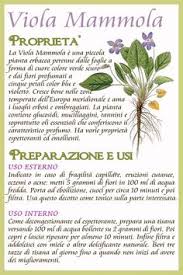Fiori bianchi orto spontanee : 40 Idee Su Erbe Spontanee Commestibili Nel 2021 Erbe Erbe Curative Piante Medicinali