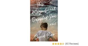 Amazon Com This Magnificent Dappled Sea A Novel Ebook Biro David Kindle Store Book Club Books Novels Kindle Reading