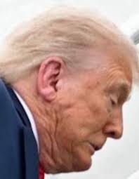 Don't repost these pics as Trump doesn't want falling