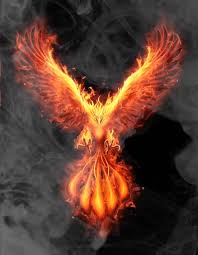 Pin By Art Itachi Uchiha Luh On Love It In 2020 Phoenix Artwork Flame Art Phoenix Images