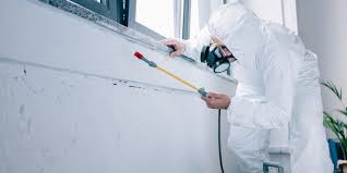 Facebook is showing information to help you better understand the purpose of a page. Best Pest Control Services 2020 Fumigation Termite Control Experts In Hong Kong Toby