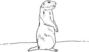 Groundhog day coloring page for kids. Prairie Dog Coloring Pages Prairie Dog 7 Printable Coloring4free Coloring4free Com