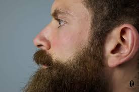 Or how long to grow a beard? How To Trim A Beard