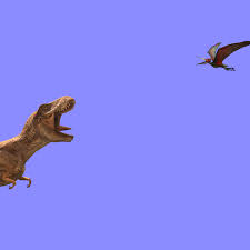 Image result for Ludia