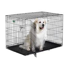 Midwest Icrate Dbl Door Folding Dog Crate 48x30x33 Be