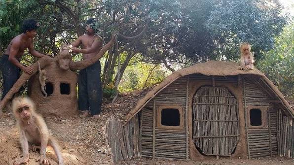 Build house underground and monkey's house for cute monkey baby using wood  and mud | Full |