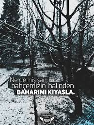https twitter com kutsalverseler https www facebook com kutsalverseler fref ts alinti sozler guzel soz