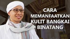Masak diatas api kecil sampai daging empuk dan kuah kental kering. Cara Membuat Kulit Kambing Di Rumah Haiwan 2021