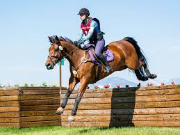 They traveled along the rocky mountains to mexico. Kerrits Cross Country Riding Outfit Ideas Featuring Purple Crossover Breeches Kerrits I Eventing Cross Country Cross Country Jumps Cross Country Equestrian