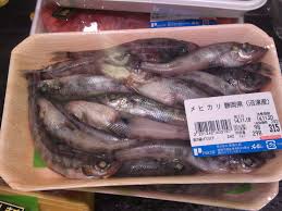 They can also be cute and fun characters to play as in a fish themed game. The Japanese English Fish Lexicon