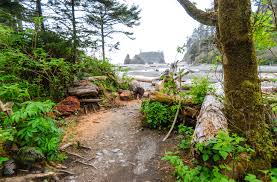 Some of my comments in the video. Forks Wa Travel Guide Visitor Information By Washington Innsiders