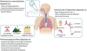 Image result for Pulmonary Intoxicant
