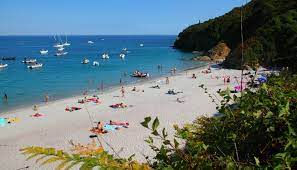 We did not find results for: Bretagne Insel Ile De Groix