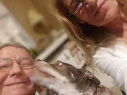 At Home Pet Euthanasia In Coral Springs