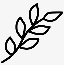 Download Branch Leaf Leaves Spring Decoration Nature Plant Svg Leaves On Branch Svg Transparent Png 980x948 Free Download On Nicepng