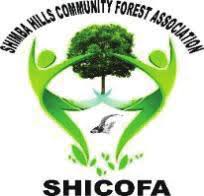 Image result for Synadenium pereskiifolium