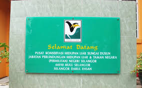 Precīza stundas laika prognoze vietnei rizab jabatan perlindungan hidupan liar dan taman negara serting, negeri pievienot šo atrašanās vietu. Menarikdihuluselangor Rezab Hidupan Liar Sungai Dusun Selangor Menarik Di Central