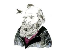 Diana Sudyka Illustrator Artists How To Make Drawing Darwin