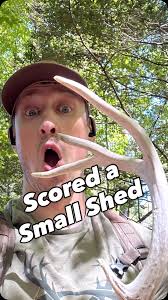 Neil found a small shed after jumping 4 bedded bucks while scouting