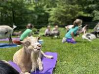GOaT Yoga In The Woods