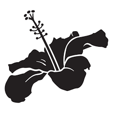 Check spelling or type a new query. Flower Silhouette Png Svg Transparent Background To Download