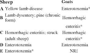Clostridium perfringens is the second or third cause of reported foodborne disease outbreaks, and most of the outbreaks occur in collective restaurants. Table 2 From Diagnosis Of Clostridium Perfringens Intestinal Infections In Sheep And Goats Semantic Scholar