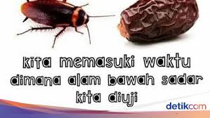 Proses metamorfosis kecoa atau lipas beserta gambar dan. Kumpulan Meme Lucu Buat Kamu Yang Fobia Kecoak