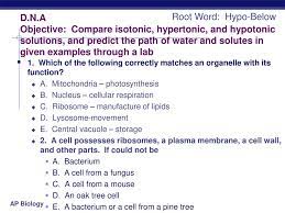 Check spelling or type a new query. D N A Objective Compare Isotonic Hypertonic And Hypotonic Solutions And Predict The Path Of Water And Solutes In Given Examples Through A Lab Root Ppt Download