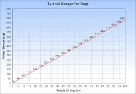 tylenol for dogs veterinary place