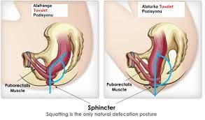 Banyonuz için uygun klozet modelini seçerken nelere dikkat etmelisiniz, birbirinden özel klozet modelleri ile yapılan banyo dekorasyonları ve püf noktalar. Alafranga Tuvaletin Zararlari Ve Faydalari Hakkinda Bilgi