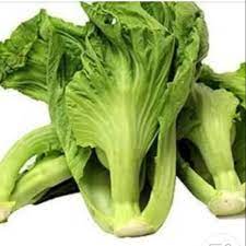 Potong sawi pahit dengan tangan. Sawi Pahit Sayur Sawi Segar 1 Iket Shopee Indonesia