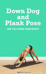 Have You Mentally Checked Out Of Your Down Dog Yoga Asana Yogiapproved Downdog Fit Fitness Yoga For Beginners Hatha Yoga For Beginners Plank Pose