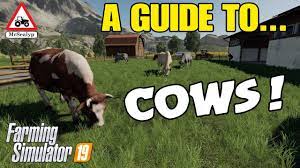 A Guide To Cows Farming Simulator 19 Ps4 Assistance Youtube