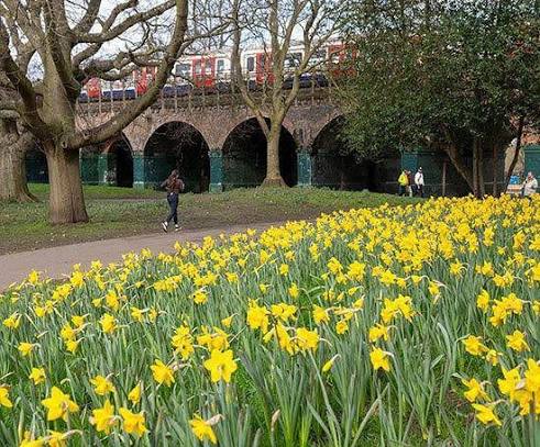 Ravenscourt Park