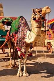 How to make a native american headdress ( sue yii ). Camel Adornments