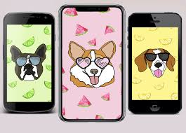 Check spelling or type a new query. Bright Fun Summer Puppy Wallpapers For Your Phone Kol S Notes