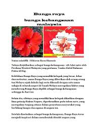 Daftar nama bunga, gambar bunga cantik, indah, unik, dan langka, lengkap dengan penjelasannya. Bunga Raya Bunga Kebangsaan Malaysia