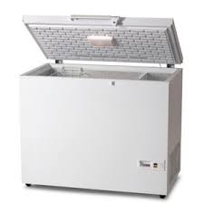 Congélateur professionnel - HF271 - VESTFROST - coffre ...