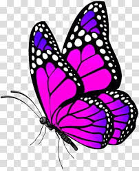 Butterfly Desktop Pink Butterfly Transparent Background Png Clipart Butterfly Painting Butterfly Drawing Butterfly Art Drawing