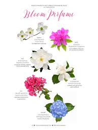 Maybe you would like to learn more about one of these? Bloom Perfume When Where To Spot Blooms In Charleston Explore Charleston Blog