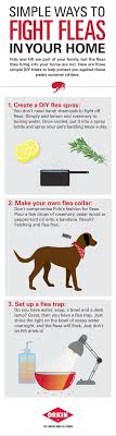 Simple Ways To Fight Flea In Your Home Dog Remedies Fleas Flea Remedies
