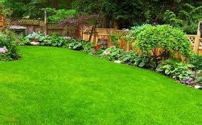 Lastly, just put them in a row to make your natural fence. Soundproof Your Garden David Domoney Get Growing