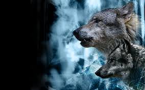 Free Download Fondos Lobos Escritorio Wallpapers Picture 1900x1188 For Your Desktop Mobile Tablet Explore 73 Lobo Wallpapers Lobo Dc Wallpaper New Mexico Lobos Wallpaper Unm Wallpaper Desktop wallpapers 4k uhd 16:9, hd backgrounds 3840x2160 sort wallpapers by: 73 lobo wallpapers lobo dc wallpaper
