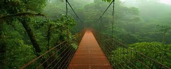 Δείτε κριτικές και φωτογραφίες από ταξιδιώτες του tripadvisor για δραστηριότητες, ψυχαγωγία, μουσεία, ψώνια και διασκέδαση. Proorismos Kosta Rika Versus Travel