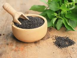 We did not find results for: What Are Sabja Seeds And Why They Have Suddenly Become Popular The Times Of India