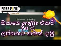 Best stylish names for free fire: Free Fire How To Create A Glorious Name For Your Profile Your Pet Sinhala Youtube