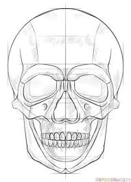 How To Draw A Human Skull Step By Step Drawing Tutorials For Kids And Beginners Human Skull Drawing 3d Drawing Tutorial Skulls Drawing