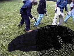 Suburban Sasquatch: Collector's Edition (2004) - Blu-ray Review